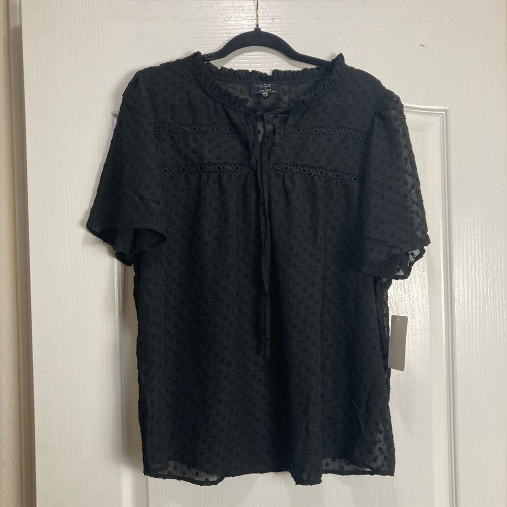 Flower and Feather Short Sleeve Eyelet Babydoll Sheer Top , size 2XL,Black